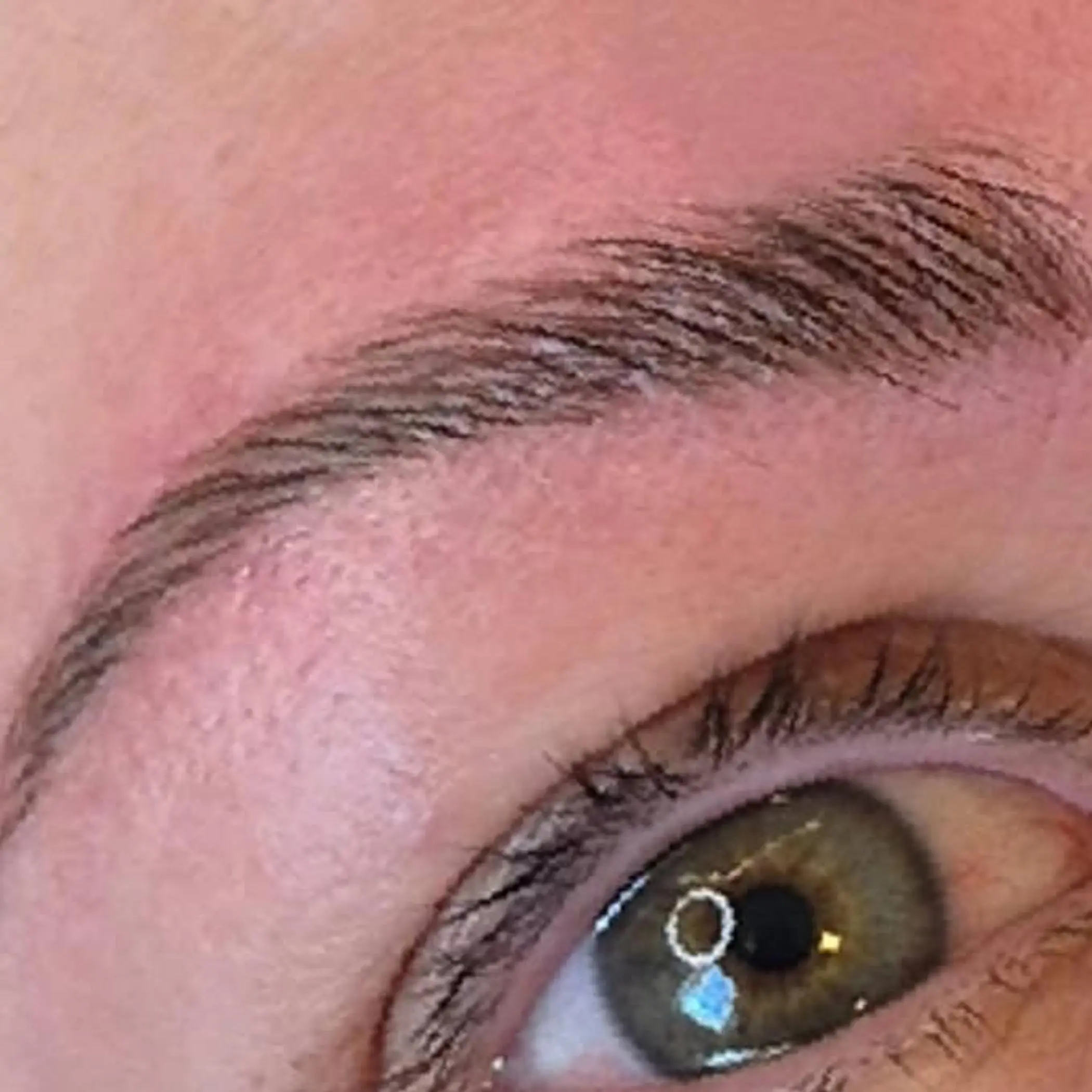 close up eyebrow hair strokes detail