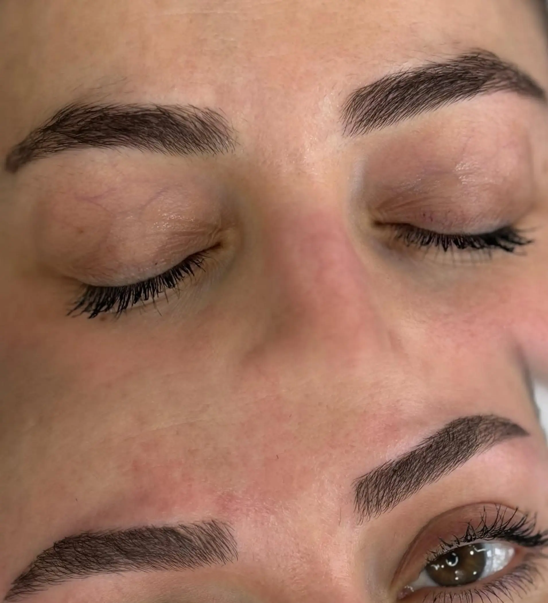 close up powder brow pigment detail