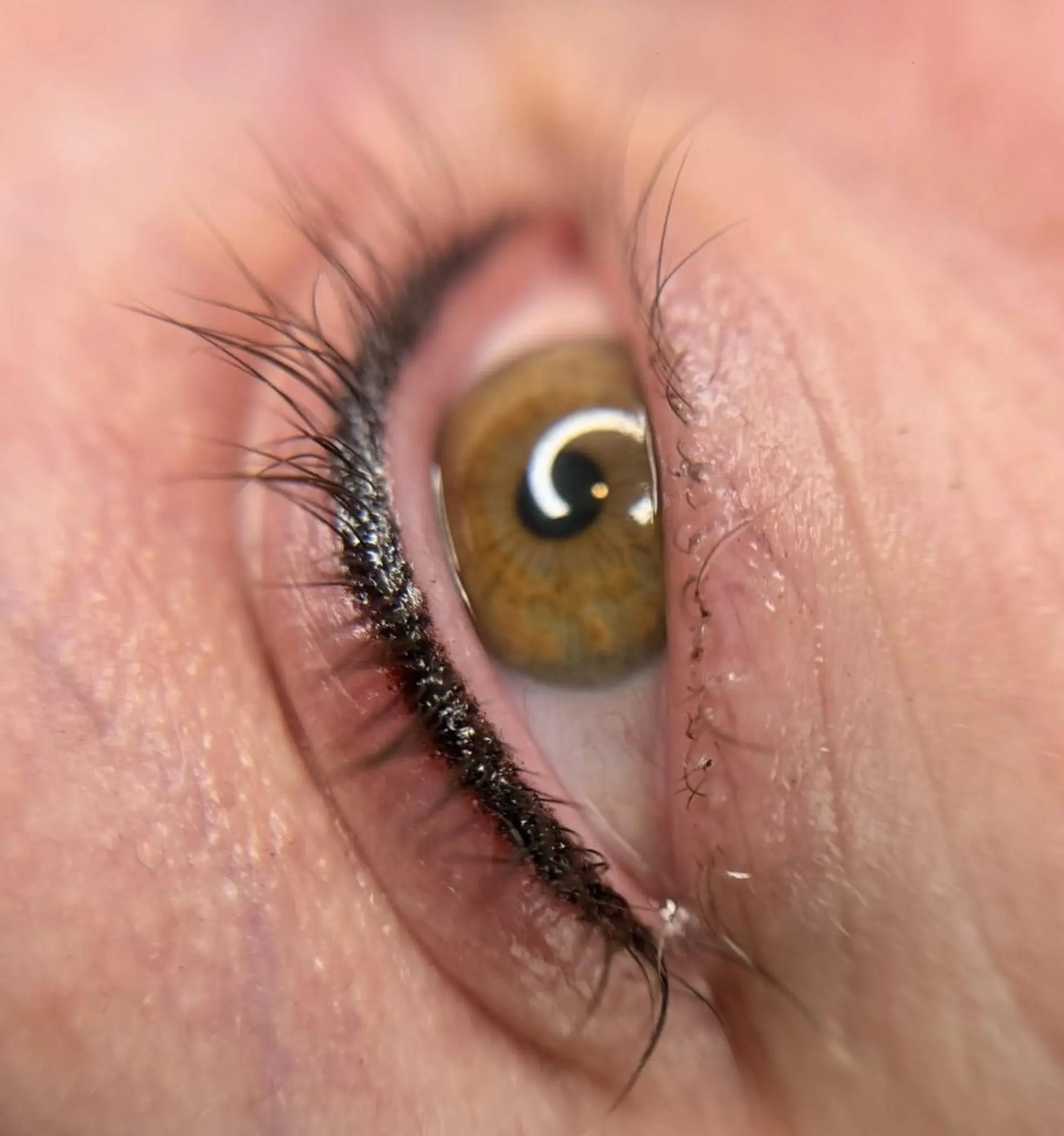 early healing stage eyebrow tattoo