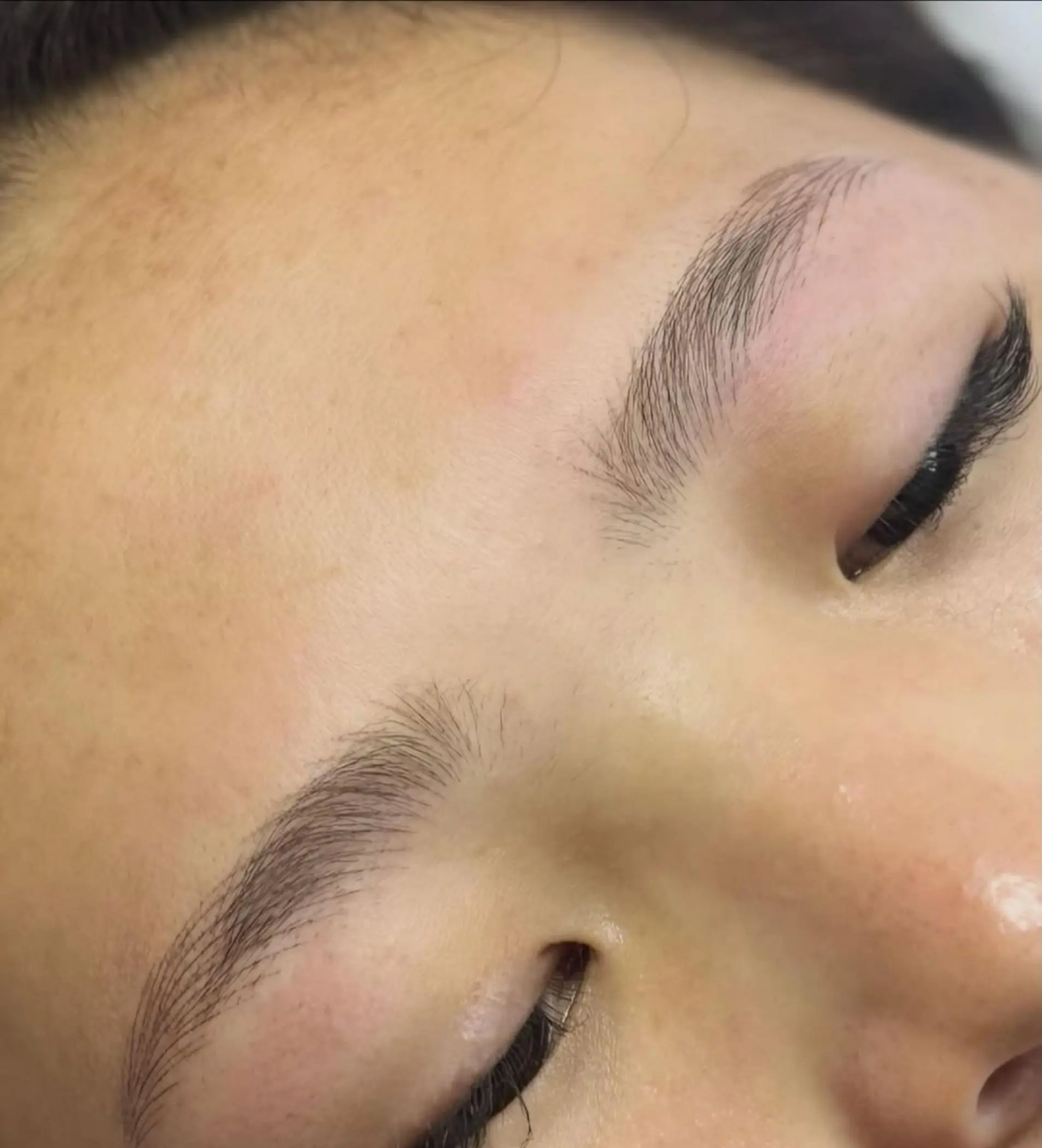 subtle natural eyebrow results powder technique