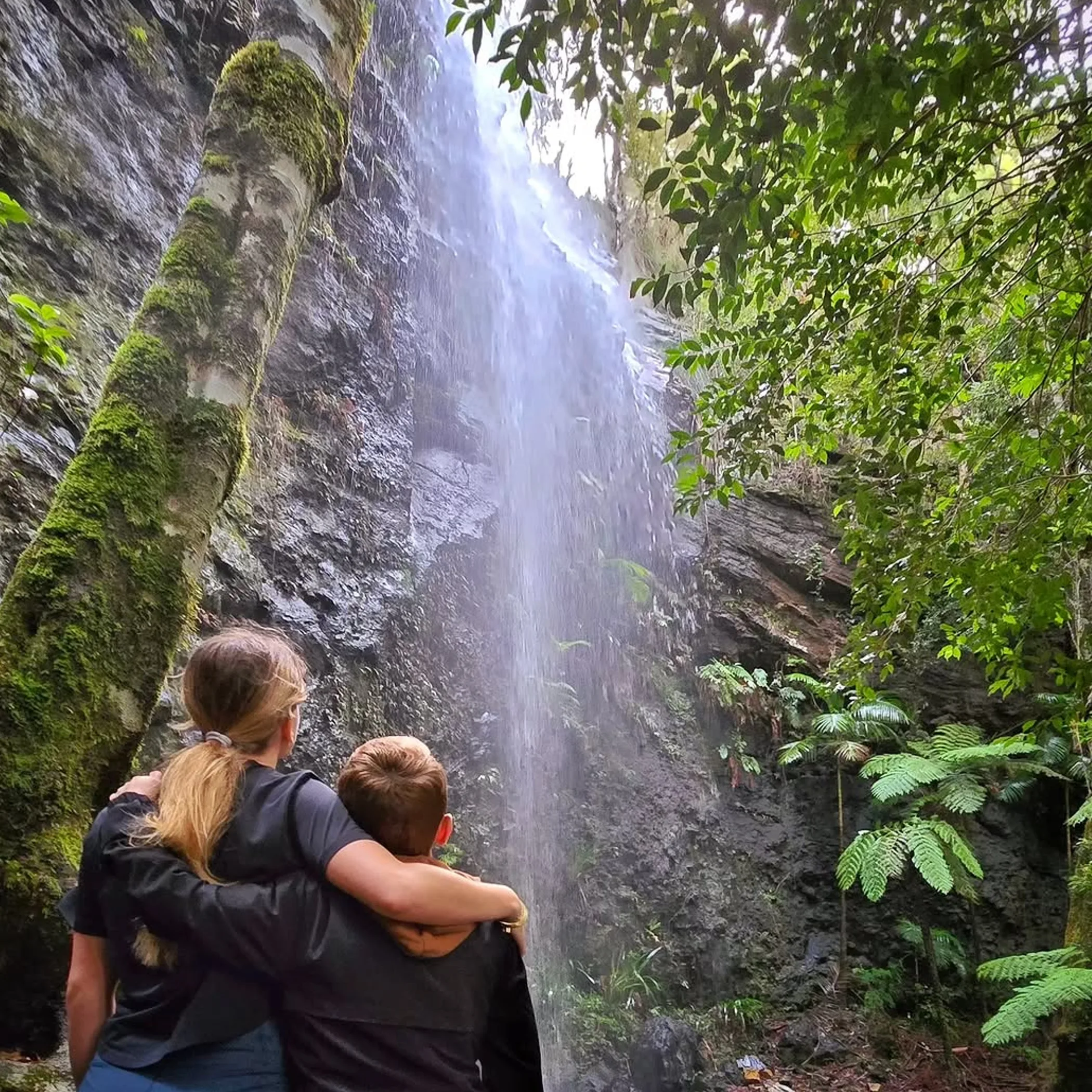 twin falls in springbrook national park