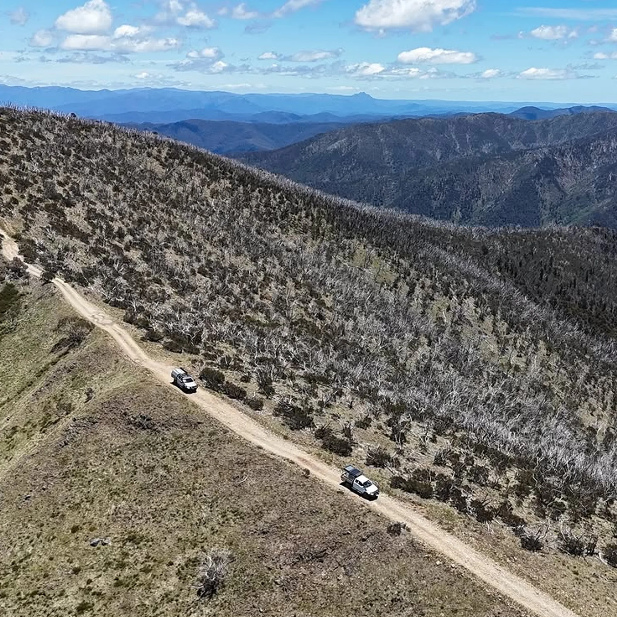 alpine road through rugged national park