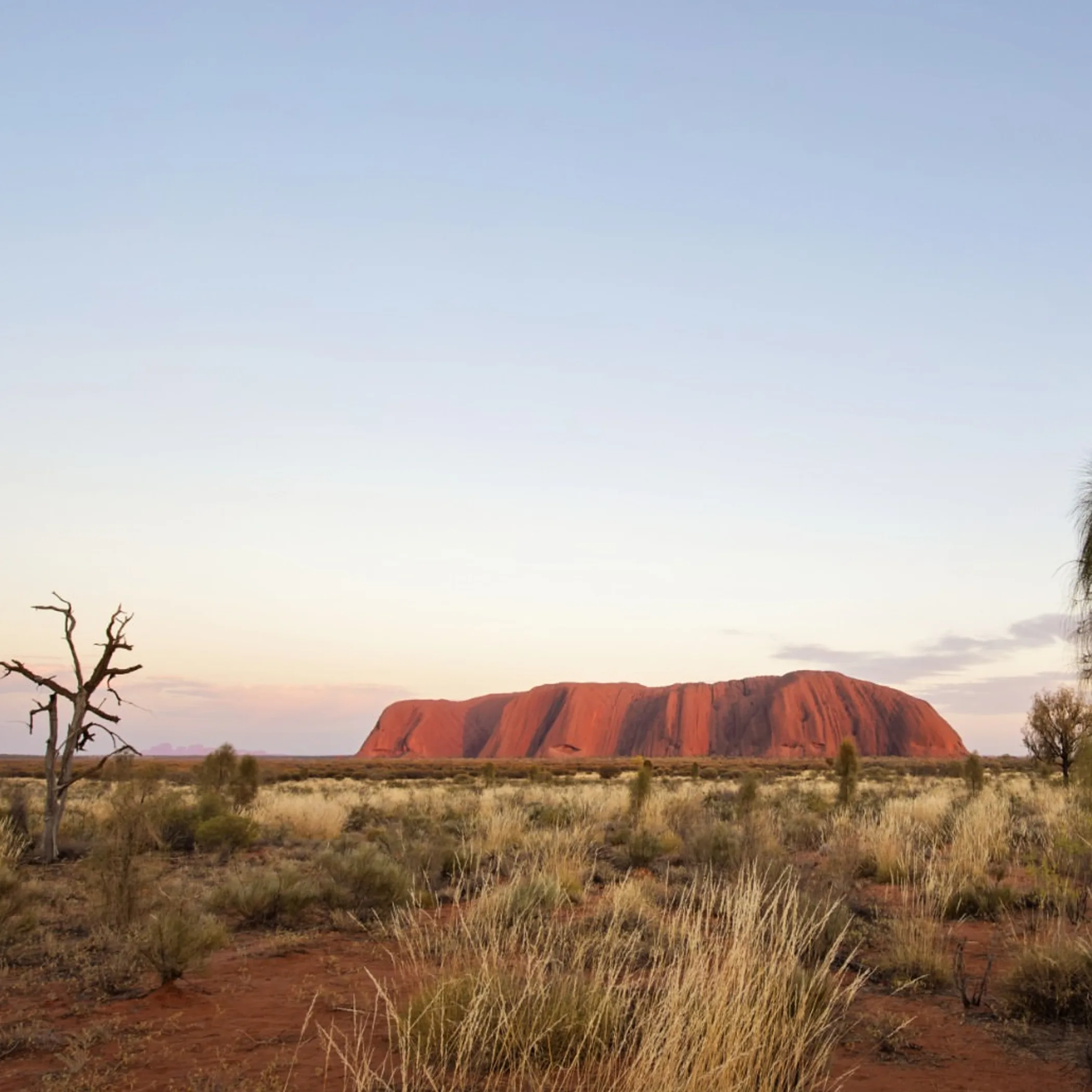 uluru in sharp focus